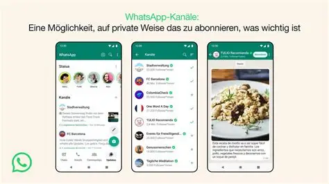 3分钟搞定！WhatsApp加好友最全指南