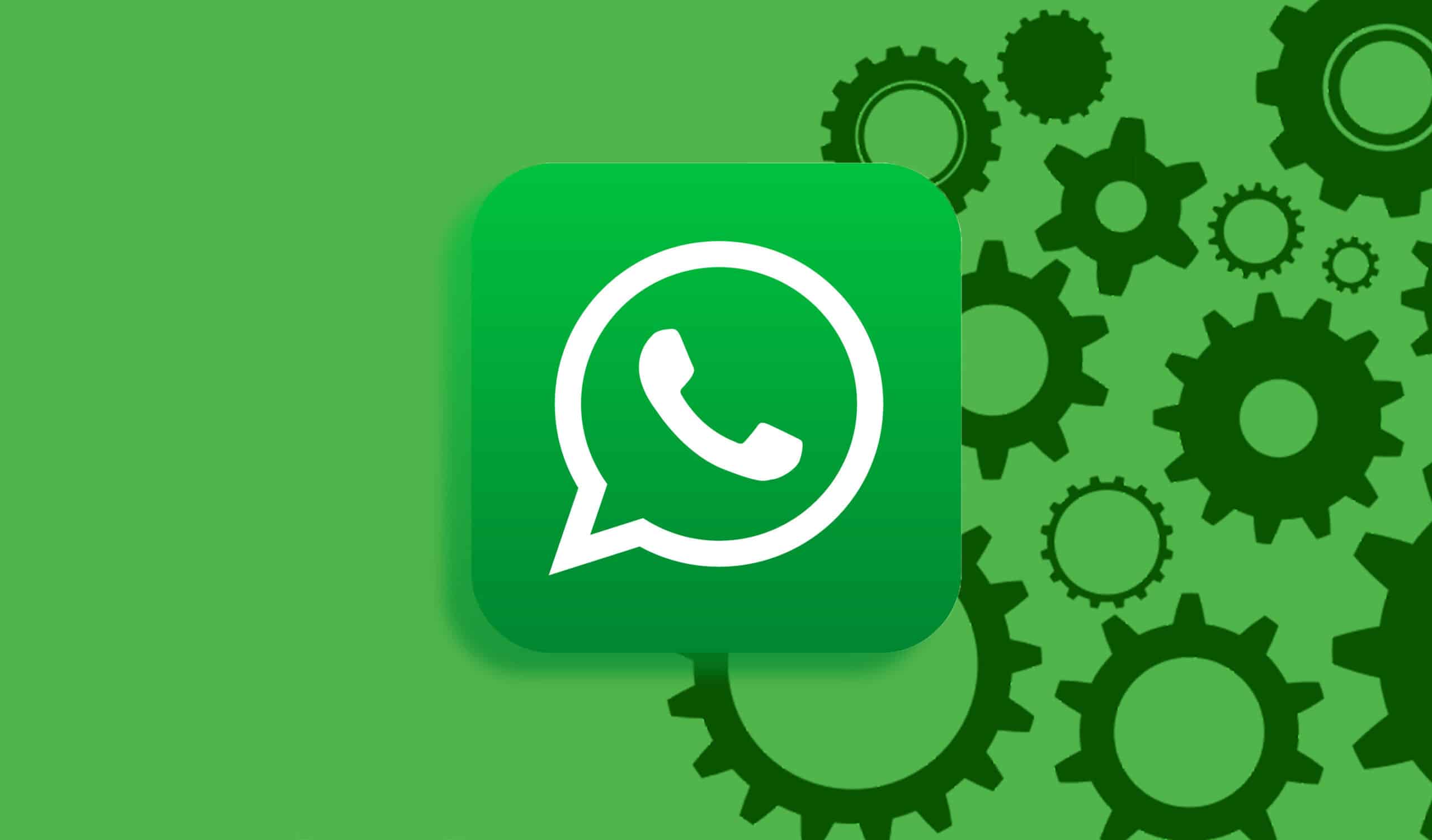 不用烦恼,教你轻松设置WhatsApp自动保存聊天照片!